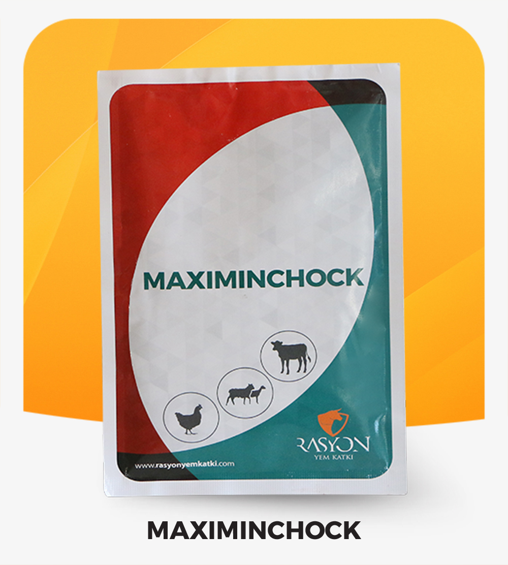 Rasyon Yem Katki Maximixchock