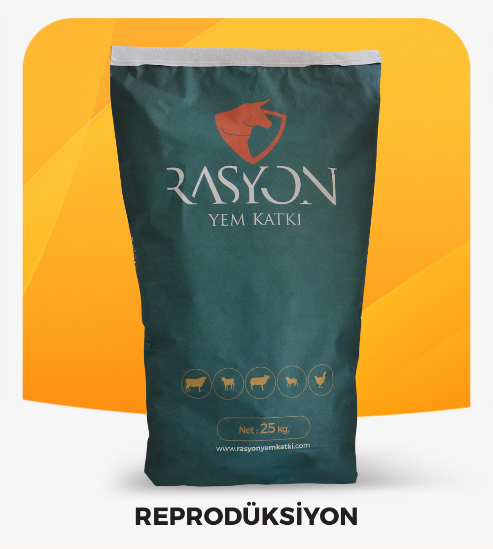 Rasyon Yem Katkı Reprodüksiyon