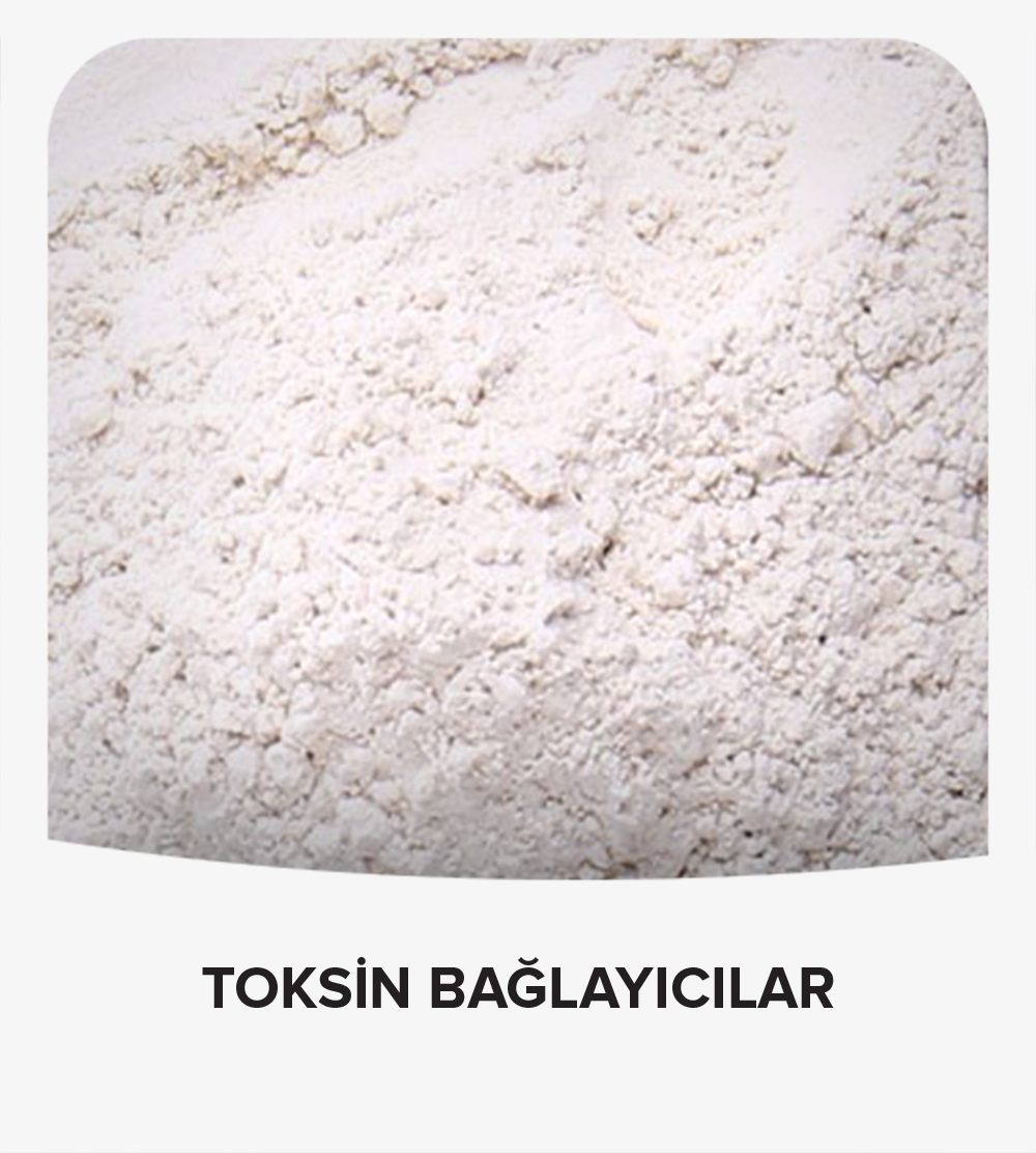 rasyon yem toksin bağlayıcılar